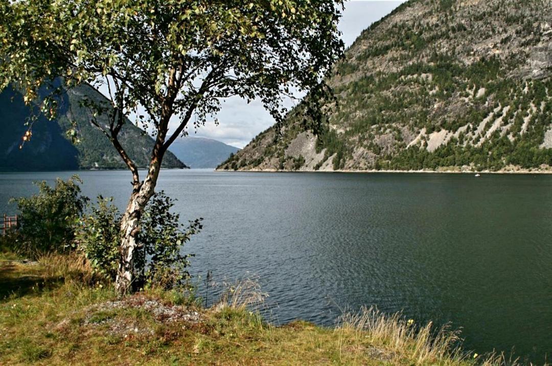 Kvammehuset Pa Gamle Laerdalsoyri Villa Bagian luar foto