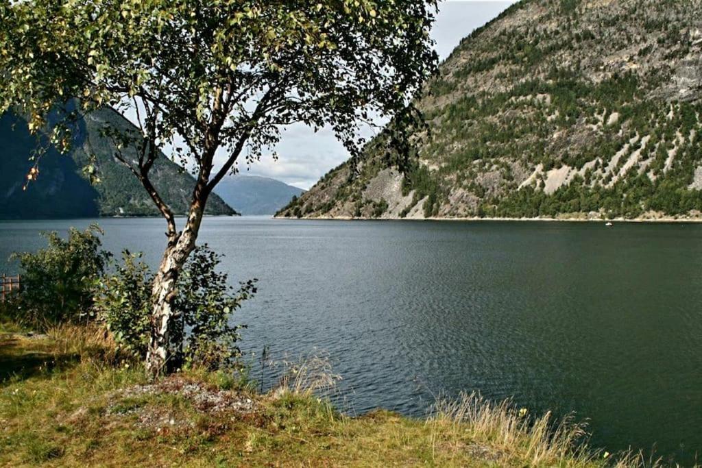 Kvammehuset Pa Gamle Laerdalsoyri Villa Bagian luar foto