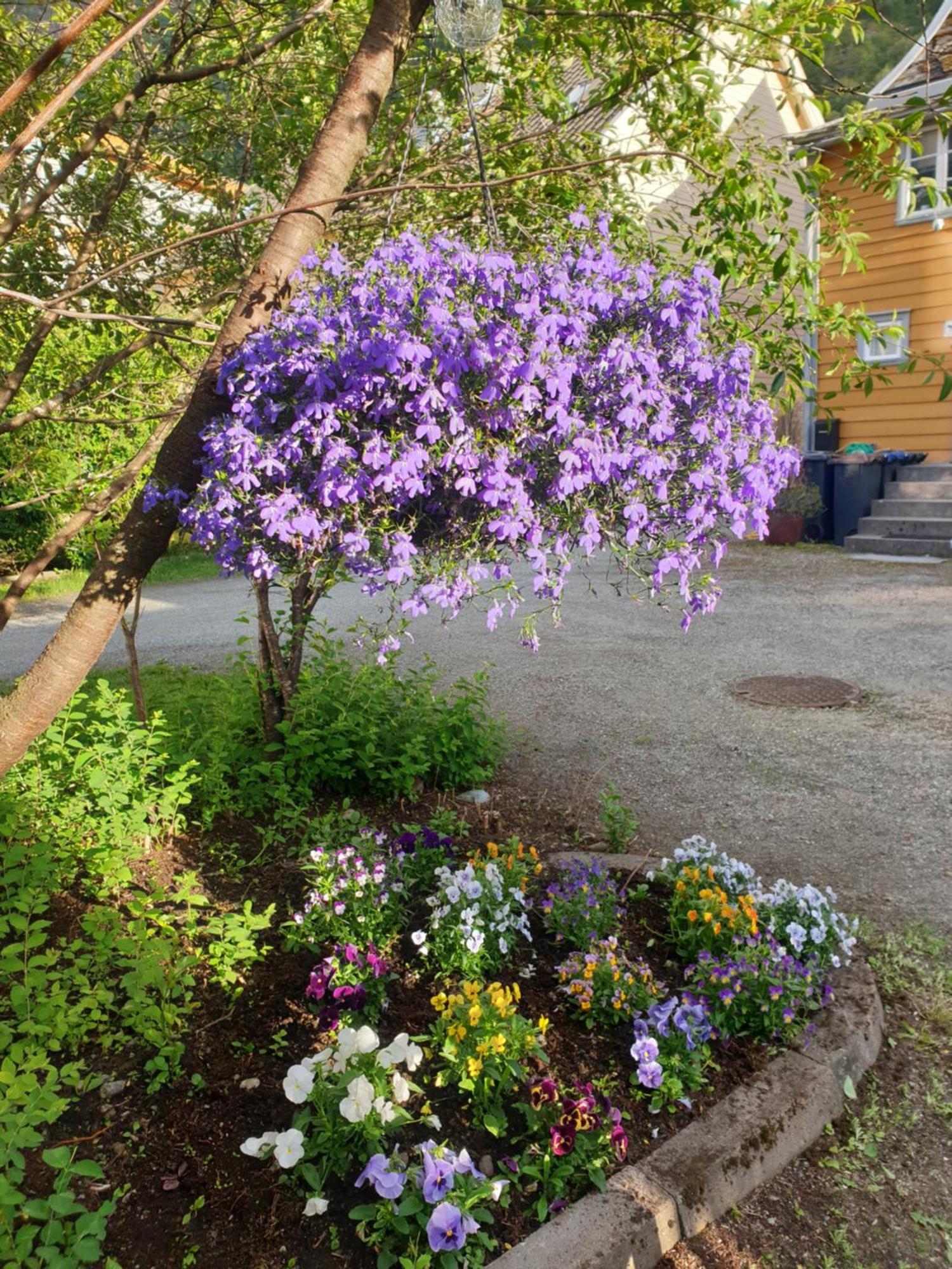 Kvammehuset Pa Gamle Laerdalsoyri Villa Bagian luar foto