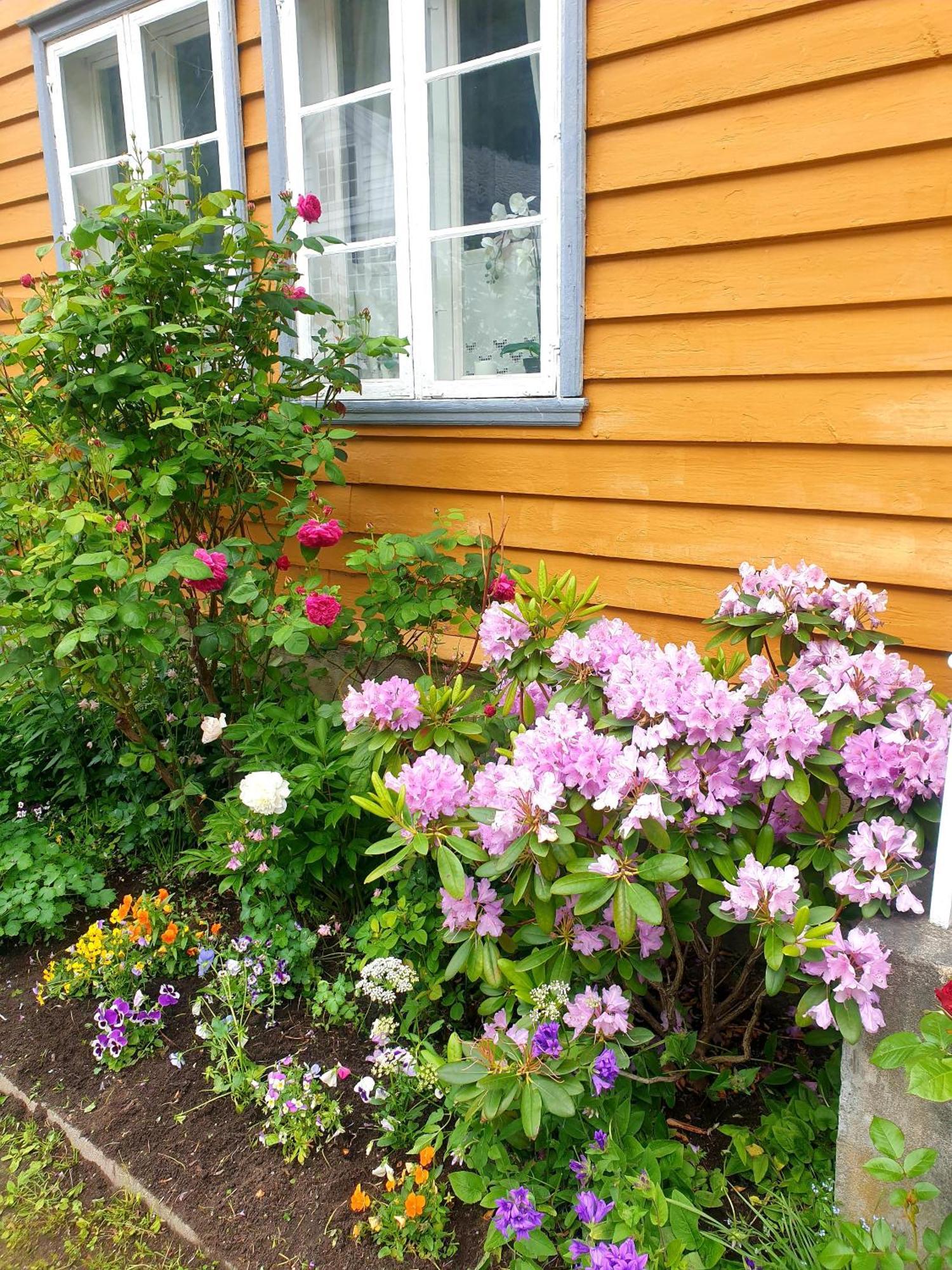 Kvammehuset Pa Gamle Laerdalsoyri Villa Bagian luar foto